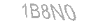 Güvenlik Kodu