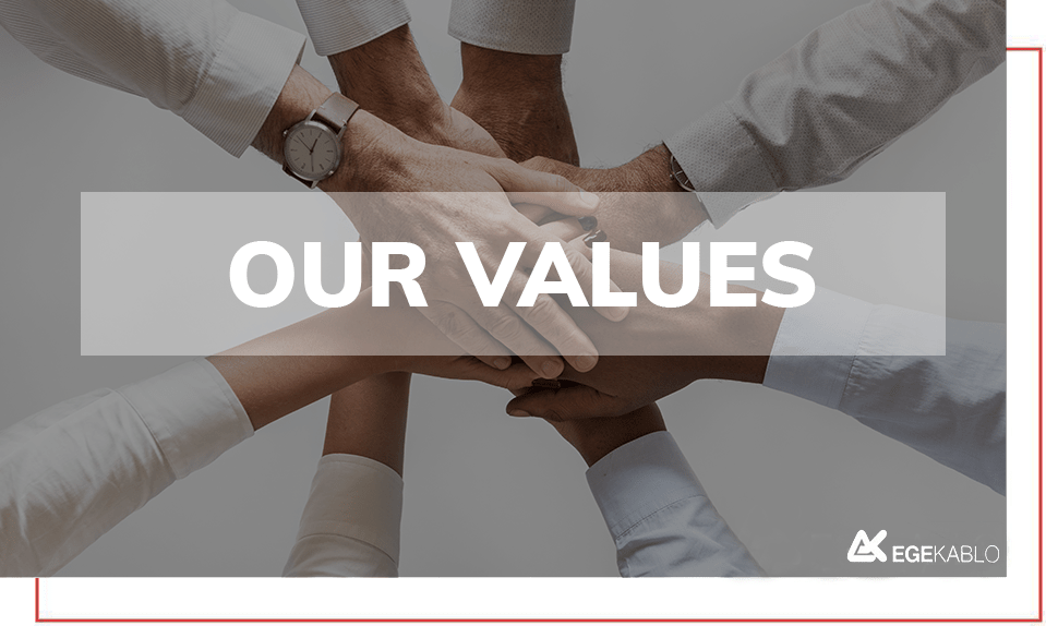 OUR VALUES